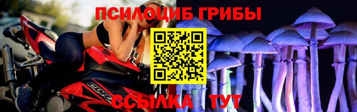 Галлюциногенные грибы Psilocybe  Вход с VPN  Каменск-Уральский 